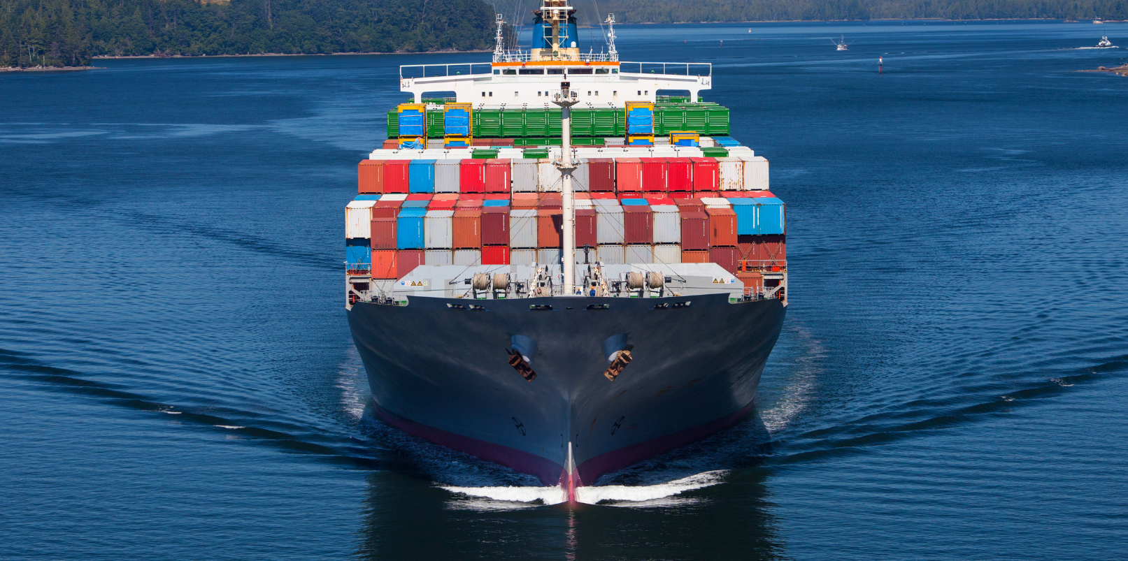 International Moving From The UAE